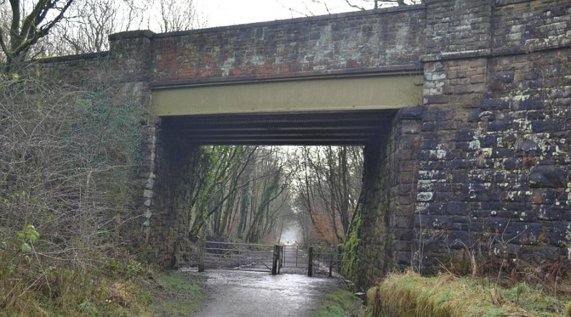 Healey Dell Nature Reserve