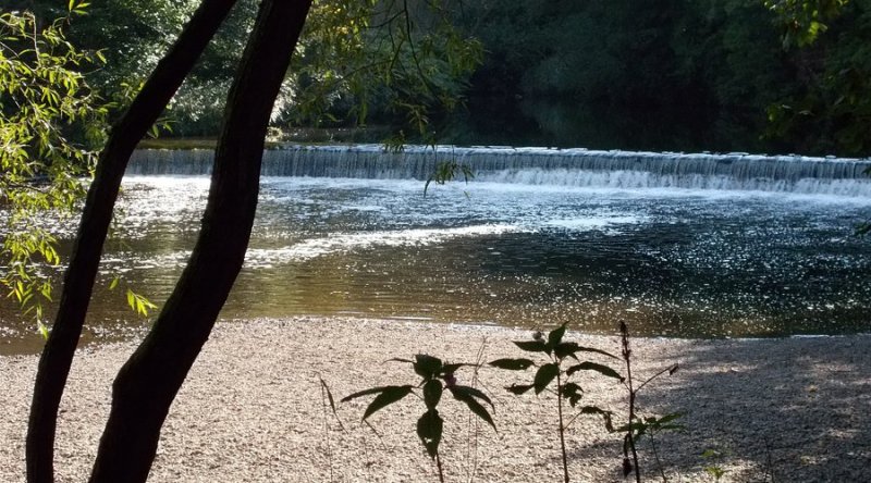 Featured image for Woodbank Park