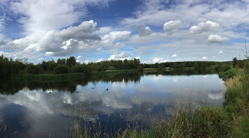 Featured image for Sence Valley Forest Park