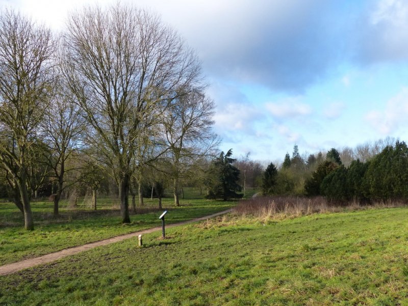 Featured image for Shady Lane Arboretum