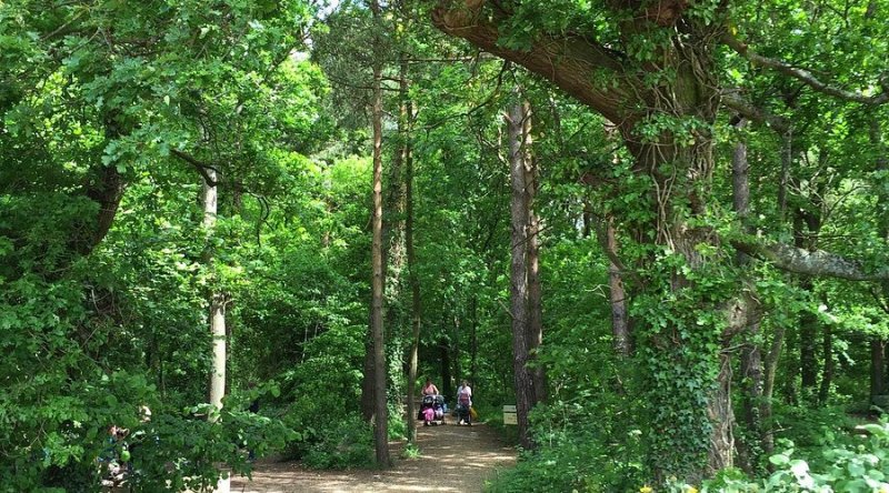 Featured image for Itchen Valley Country Park