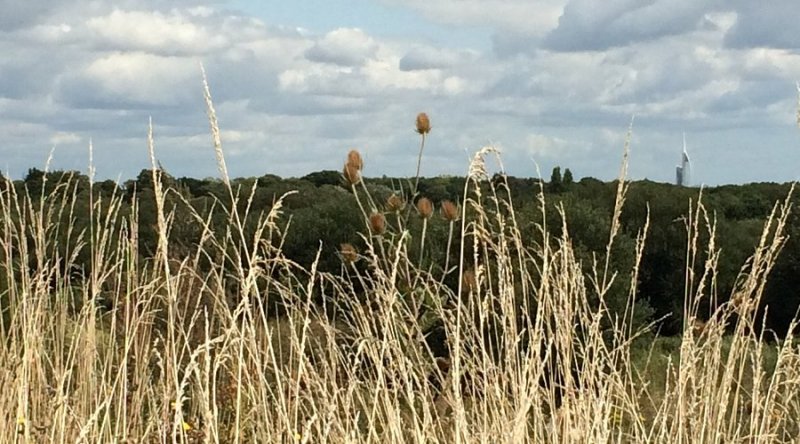 Featured image for Alver Valley Country Park