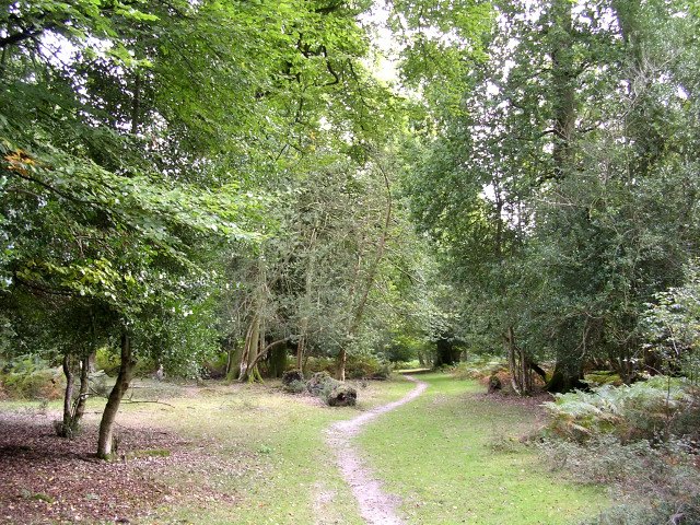 Featured image for Acres Down