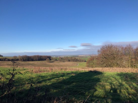 Featured image for Cheesefoot Head