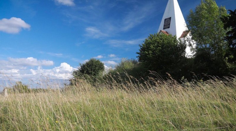 Farley Mount Country Park
