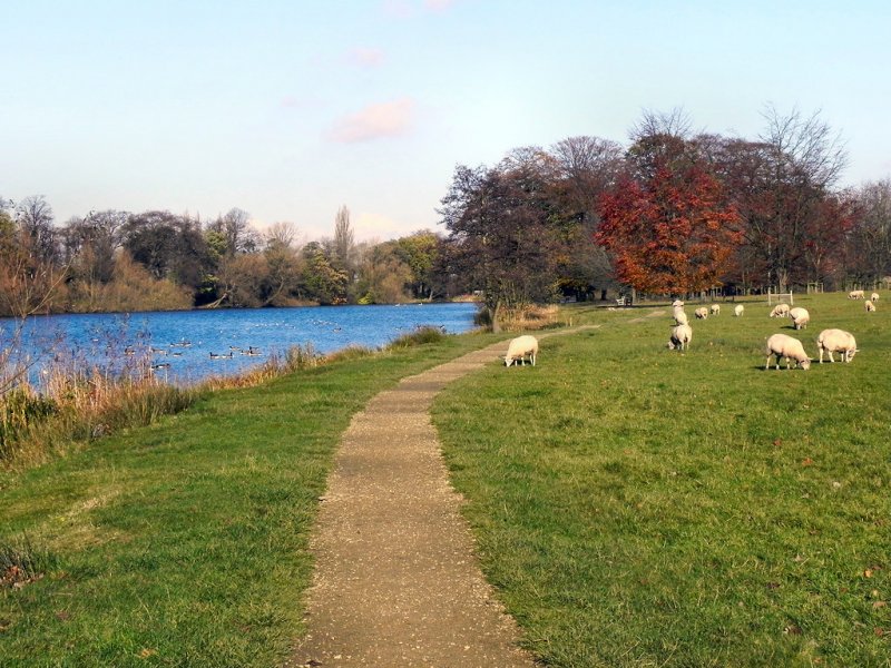Featured image for Poynton Pool