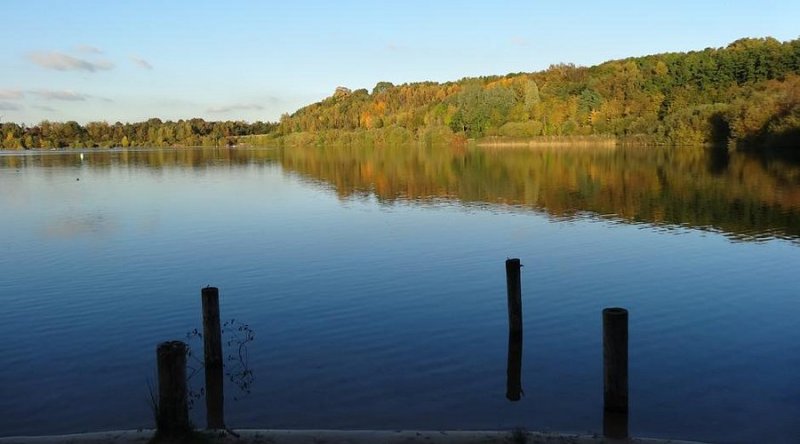 Featured image for Astbury Mere Country Park
