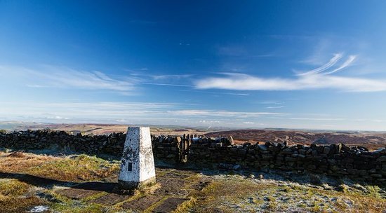 Featured image for Shining Tor