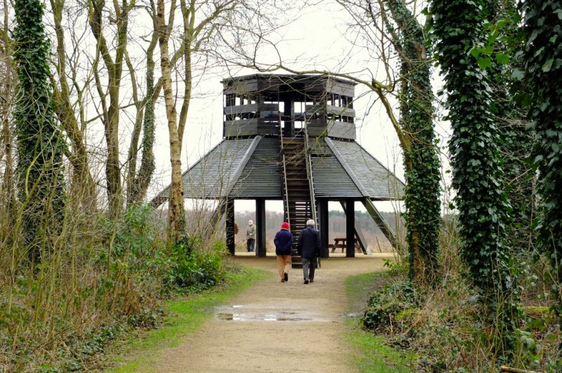 Featured image for Risley Moss Nature Reserve