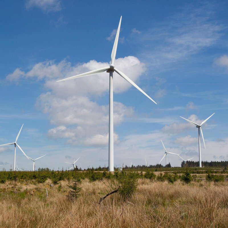 Featured image for Whitelee Wind Farm