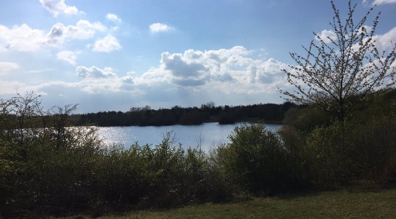 Featured image for Crown Lakes Country Park