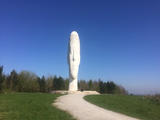 Featured image for Sutton Manor Woodland and Dream Sculpture