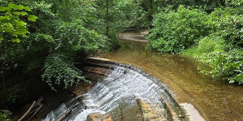 Featured image for Nant Mill Country Park
