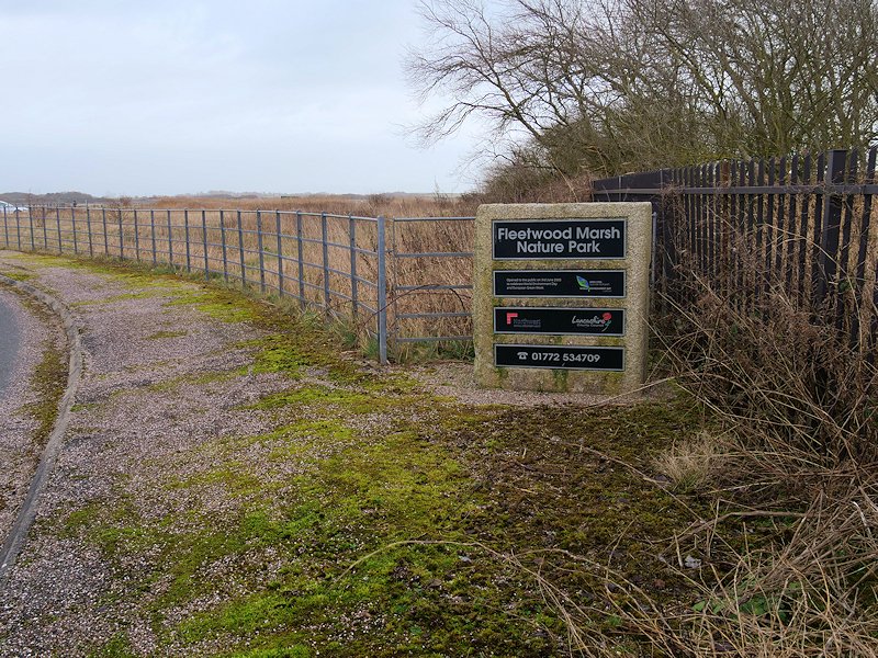 Featured image for Fleetwood Marsh Nature Reserve