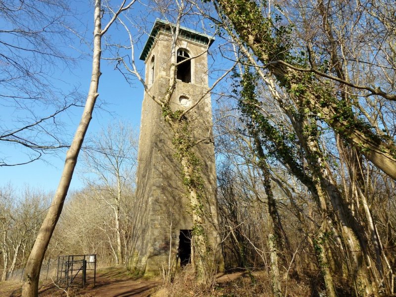 Featured image for Browns Folly