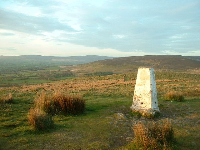 Featured image for Nicky Nook