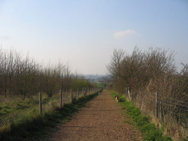 Featured image for Magog Down