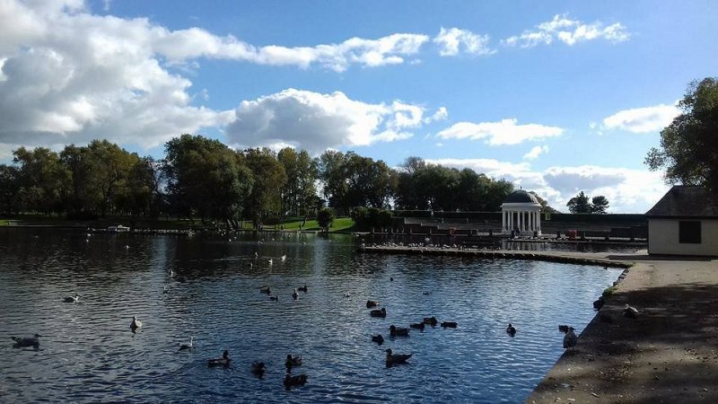 Featured image for Stanley Park and Marton Mere