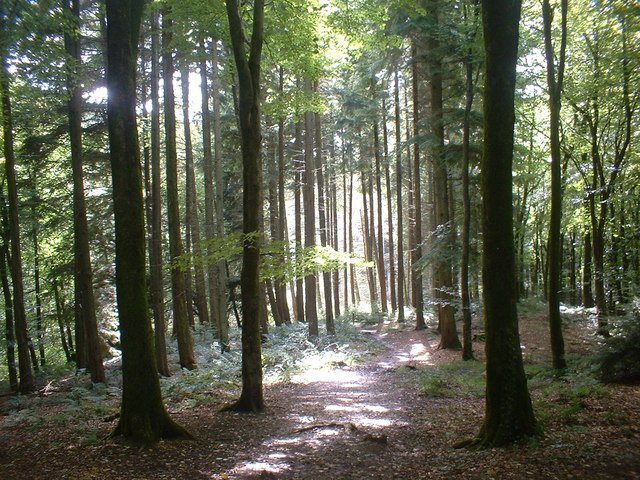 Featured image for Castle Neroche