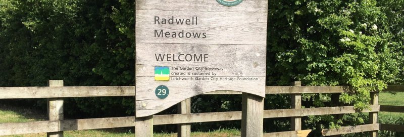 Featured image for Radwell Meadows Country Park