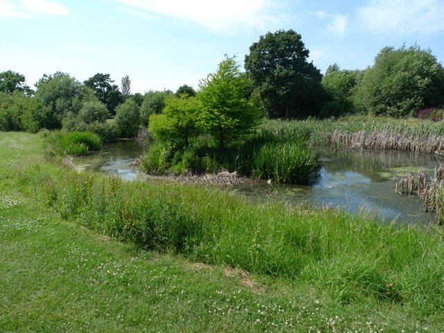 Featured image for Bancroft Park