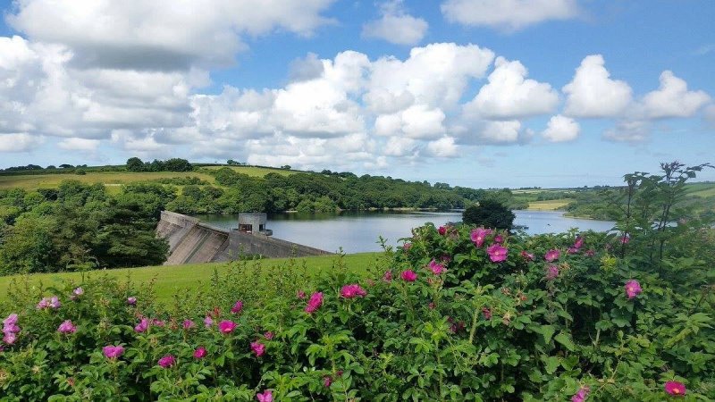 Featured image for Llys-y-frân Lake
