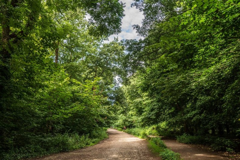 Featured image for Weston Woods