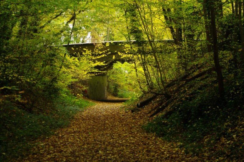 Featured image for Ayot Greenway and the Lea Valley