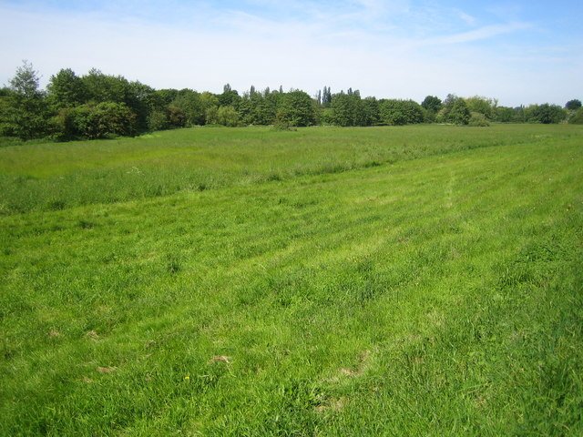 Featured image for Colney Heath