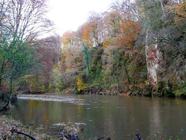 Failford and Ayr Gorge Woodlands