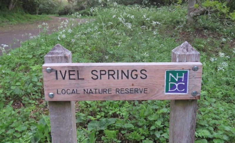 Featured image for Ivel Springs Local Nature Reserve