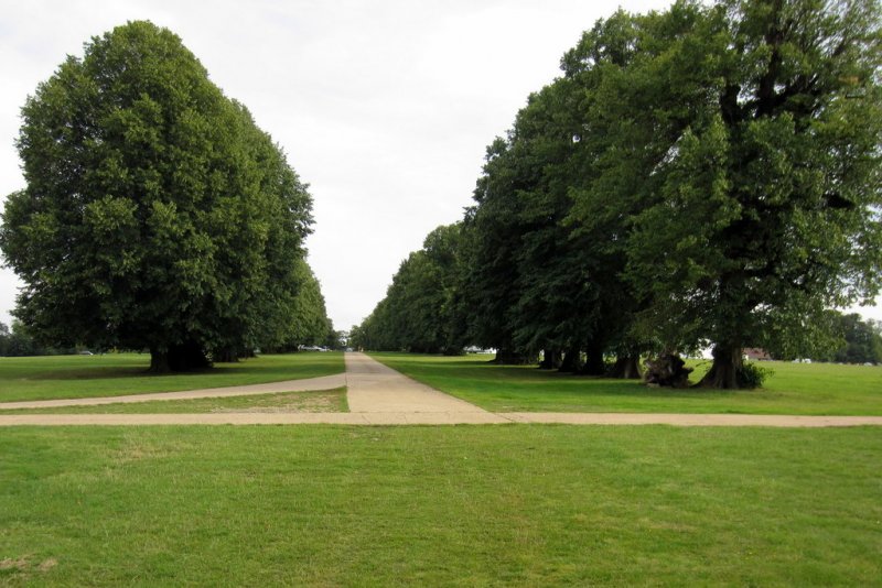 Featured image for Knebworth Park and Woods