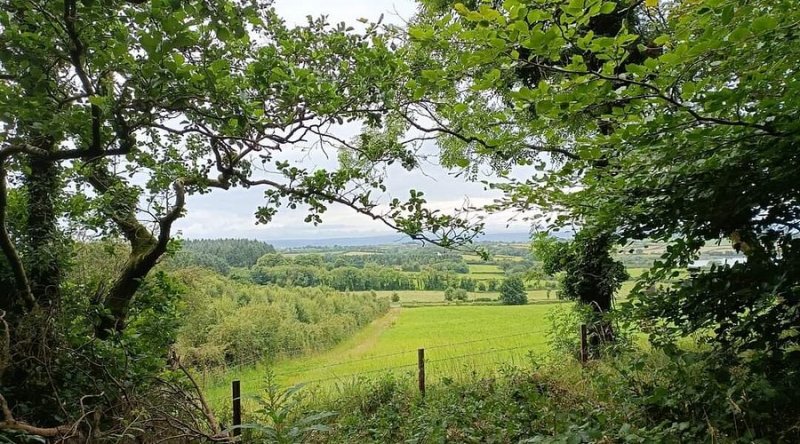 Featured image for Cairn Wood