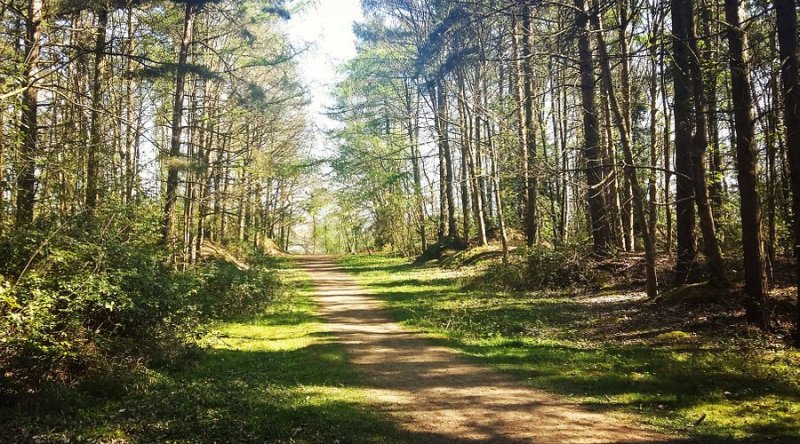 Featured image for Twywell Hills and Dales