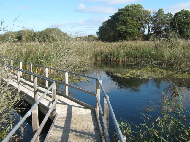 Featured image for Westhay Moor National Nature Reserve