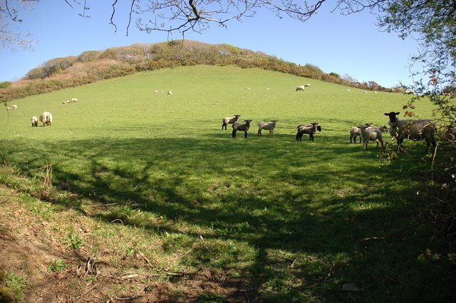 Featured image for Kilkhampton - Countryside & Valley Explorer Circular