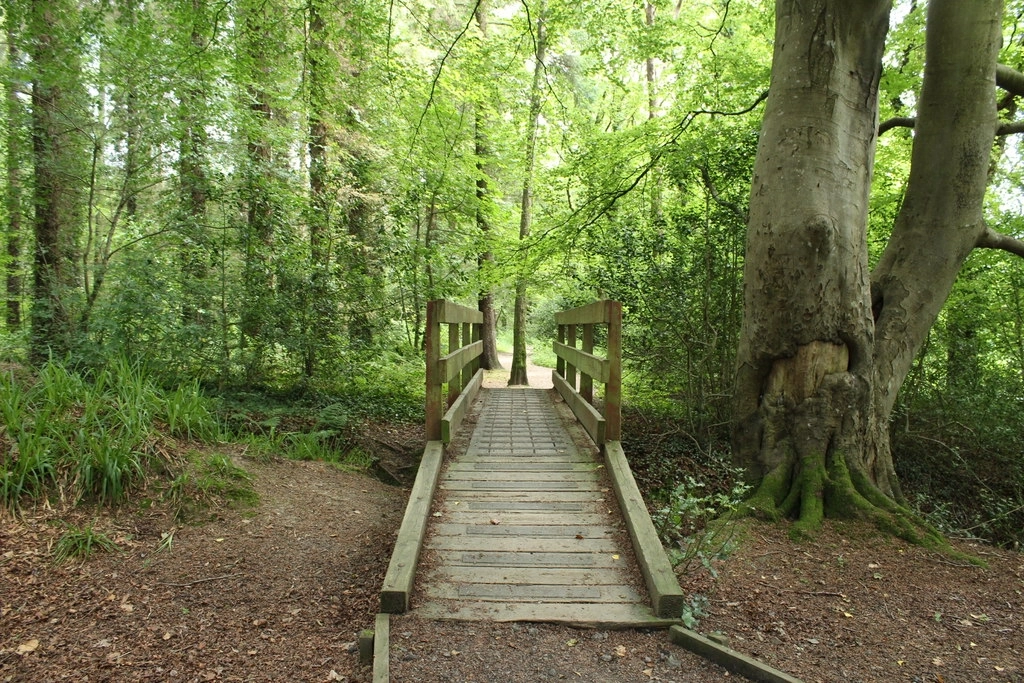 Featured image for Garries Wood