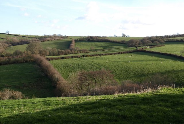 Featured image for Week St Mary & Westwood Common - Historic Village & Countryside Loop
