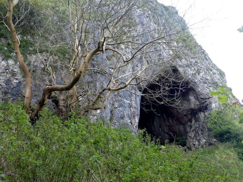 Featured image for Thor's Cave