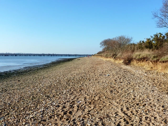 Featured image for Hamble Common