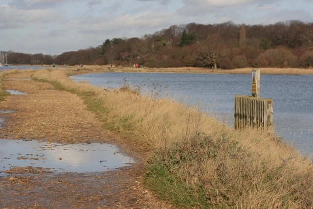 Featured image for Bunny Meadows, Warsash