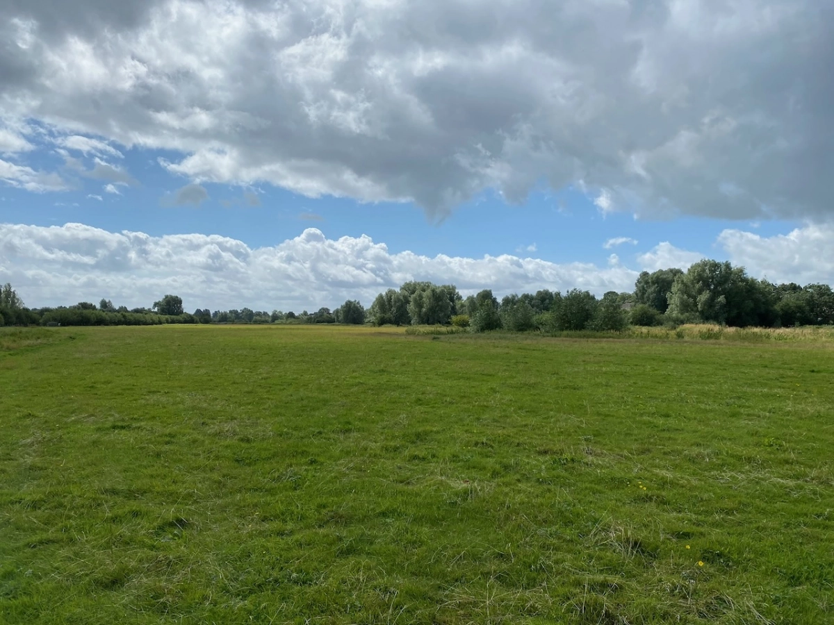 Featured image for Tewkesbury Nature Reserve
