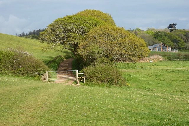 Featured image for Callestick & Ventongimps Circular