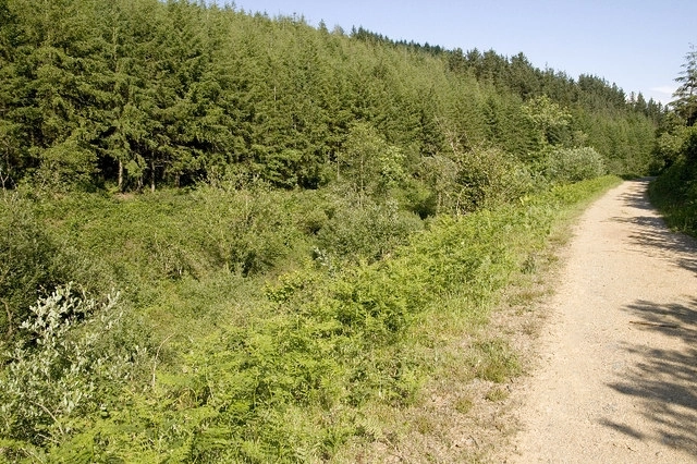 Featured image for Cardinham Woods & Castle Circular