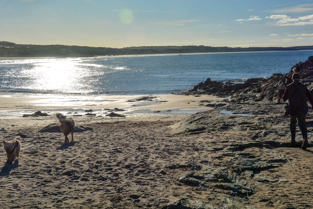Featured image for Coverack, Lowland Point & Roskilly's Circular