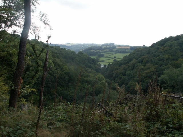Featured image for Cotehele House & Lower Danescombe Circular