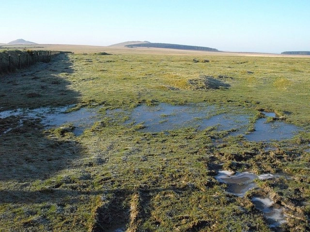 Featured image for Davidstow Moor & Tremail Circular
