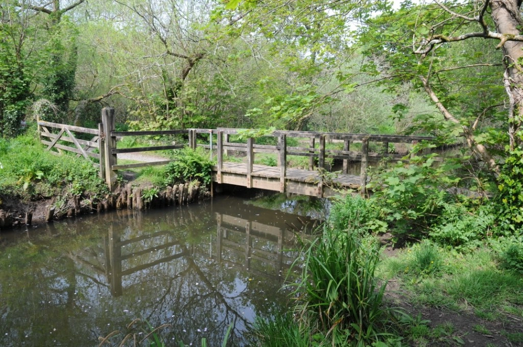 Featured image for Helston Cober Valley Circular Walk