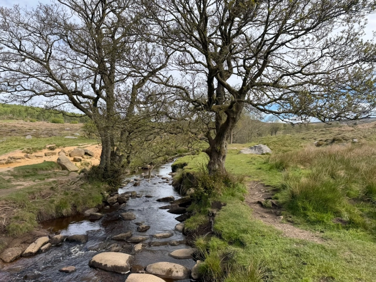 Featured image for Padley Gorge