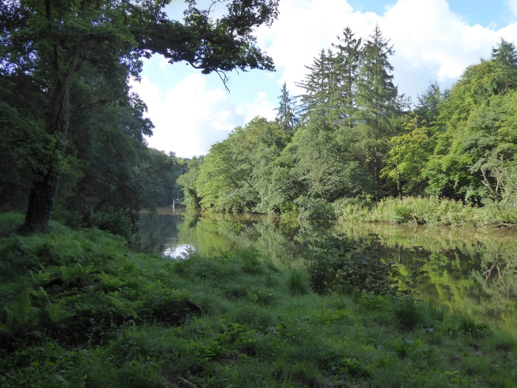 Featured image for Gunnislake to Chilsworthy Circular